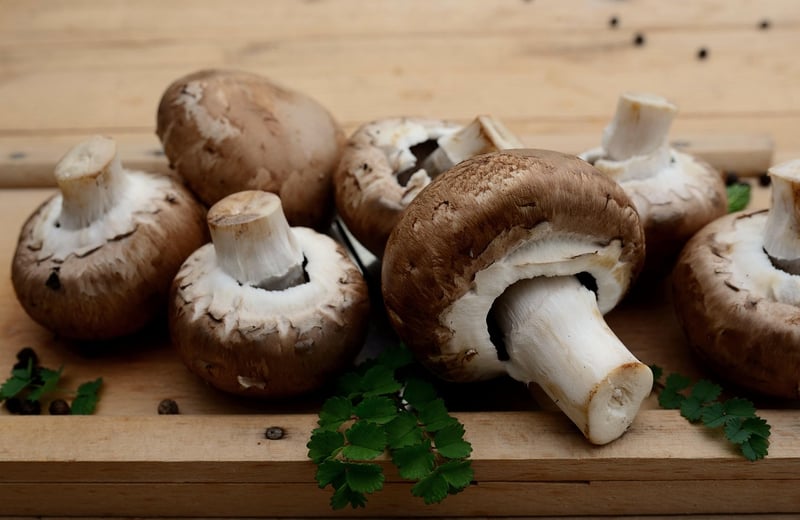 Vegetarian Cuisine